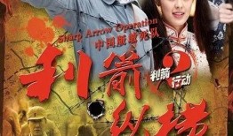 利箭纵横在线观看,在线观看，揭秘特工风云