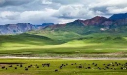 爆料祁连山的新闻媒体,媒体曝光惊人真相