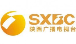 陕西卫视在线直播观看,精彩瞬间尽收眼底