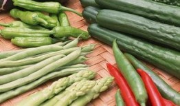 吃瓜壁纸素材下载免费,免费下载吃瓜壁纸，尽享视觉盛宴