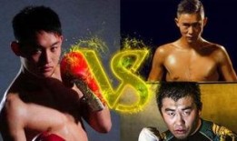 人像爆料武林风视频,揭秘幕后英雄的人像爆料瞬间