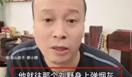 蔡小楼爆料刘野致死视频,视频曝光背后的惊人内幕