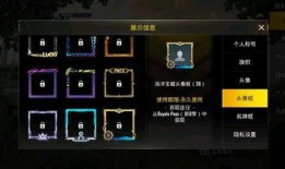 刺激战场s8爆料视频,全新内容与玩法大揭秘