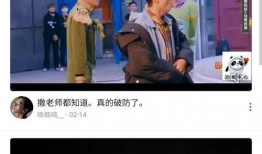 刘文迪视频爆料大全集下载,揭秘事件背后真相