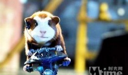 豚鼠电影1在线观看,一场惊心动魄的冒险之旅