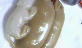 新疆玉石爆料视频大全,视频大全带你领略瑰宝魅力