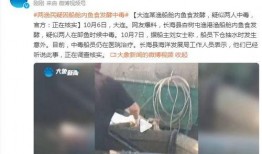 海洋最新爆料消息视频播放,揭秘神秘水下世界奇观