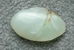 新疆玉石爆料视频大全,视频大全带你领略瑰宝魅力