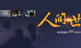 人间世纪录片在线观看,穿越历史长河的视觉史诗