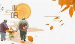 重阳节爆料视频,传统节日背后的温馨故事与习俗传承
