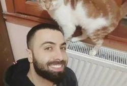 猫老四爆料爸爸视频,爸爸视频背后的温馨故事