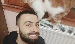 猫老四爆料爸爸视频,爸爸视频背后的温馨故事