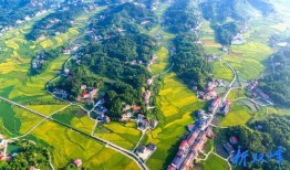 双峰镇在线观看,全景式体验古镇魅力