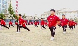 泰龙武术学校爆料视频,揭秘武术培训背后的真相