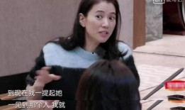 袁咏仪爆料娱乐,那些不为人知的真相