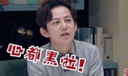 何炅爆料娱乐圈黑mu,揭秘明星背后的真相