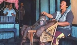 《性奴》在线观看,揭秘网络性剥削的黑暗面