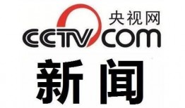 央视新闻平台爆料视频,揭秘XX事件背后真相