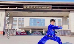 泰龙武术学校爆料视频,揭秘武术培训背后的真相