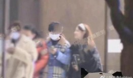 刘大锤爆料大全视频播放,揭秘热门视频背后的精彩故事