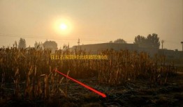 任丘京师最新爆料,重磅爆料引关注