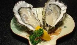 淮安生蚝店爆料视频大全,视频大全揭秘生蚝新鲜与美味背后的秘密