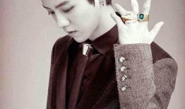 黄子诚爆料鹿晗视频播放,揭秘娱乐圈幕后真相