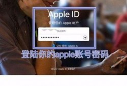 国际服最新卡包爆料视频,全新英雄与卡牌震撼来袭！