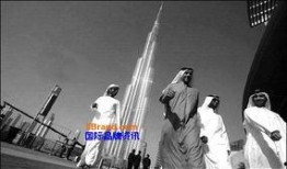 8月哈利法杖爆料新闻,神秘力量觉醒，魔法世界再掀波澜